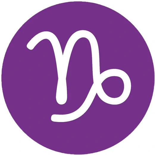 Capricorn Gemstone Birthstone - Lookandadorn.com